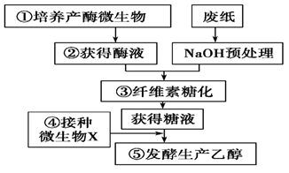 苹果醋具有营养丰富,增强机体免疫力,护肤养肝等多种功效,以鲜苹果汁为原料利用发酵瓶制作果酒和果醋的过程如图1,请分析回答: