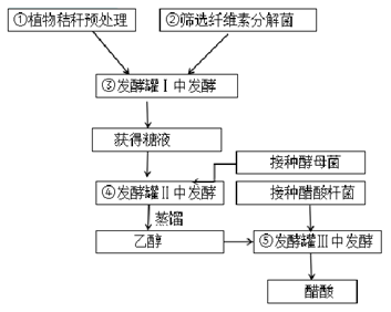 地球上的植物每年产生纤维素超过70亿吨,其中40%-60%能被土壤中的某些微生物分解利用。工业生产中可利用纤维素分解菌将纤维素分解,随后接种酵母菌转化成新的能源