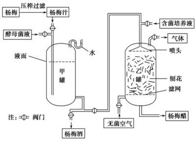 杨梅是浙江省的特色水果之一.为对其进行深加工.某厂进行了杨梅酒和杨梅醋的研制.基本工艺流程如图.请回答下面的问题.(1)在制备杨梅酒过程中.为了提高杨梅的出汁率.在压榨前可加入一定浓度的纤维素酶和 酶.甲罐顶上弯管中加水的主要目的是 .发酵一定时间后.观察到发酵罐内液面不再有 .说明发酵基本完毕.(2)在制备杨梅醋过程中.乙罐内先填充经 题目和参考答案