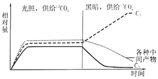 [题目]纤维素分子不能进入酵母细胞.为了使酵母菌能够利用环境中的纤维素为原料生产酒精.构建了含3种不同基因片段的重组质粒.下面是酵母菌转化及纤维素酶在工程菌内合成与运输的示意图.据图回答:(1)本研究构建重组质粒时可供选用的限制酶如下.其识别序列如下图.为防止酶切片段的自身环接.可选用的限制酶组合是 或 .A.①② B.①③ C. 题目和参考答案