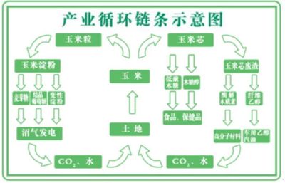 曾经的“生物燃料第一股”今日彻底退市 仍有问题未得到解决