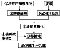 如图表示用胸苷(TdR)双阻断法使细胞周期同步化.其中A表示正常的细胞周期.G1.S.G2.M期依次分别为10h.7h.3.5h.1.5h,B表示经第一次阻断.细胞都停留在S期,C表示洗去TdR恢复正常的细胞周期,D表示经第二次阻断.细胞均停留在G1/S交界处.下列说法正确的是( )A.实验中需要对细胞解离.漂洗.染色.制片.以便于显微镜下观察B.胸