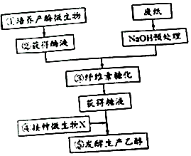 现在大力提倡无纸化办公.但是每年仍然不可避兔地产生大量的废纸.其主要成分是木质纤维.人类正努力将其转化为一种新的资源一乙醇.如图是工业上利用微生物由纤维素生产乙醇的基本工作流程.请回答相关问题:(1)①环节培养产酶微生物时.配制好的培养基培养前应采用高压蒸汽灭菌法进行灭菌处理.(2)②环节获得酶液时.需要先将从土壤中获得的微生物培养在以纤维素 题目和参考答案