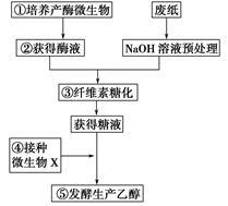 现在大力提倡无纸化办公.但是仍然不可避免的每年要产生大量的废纸.其主要成分是木质纤维.人类正努力将其转化为一种新的资源--乙醇.下图是工业上利用微生物用纤维素生产乙醇的基本工作流程.请回答相关问题:(1)自然界中①环节需要的微生物大多分布在 的环境中.将从土壤中获得的微生物培养在以 为碳源.并加入 的培养基上筛选周围有 的菌落.(2)如上所述的筛选中 题目和参考答案