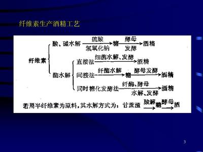 09第九章 发酵工程各论1--酒精生产工艺学PPT