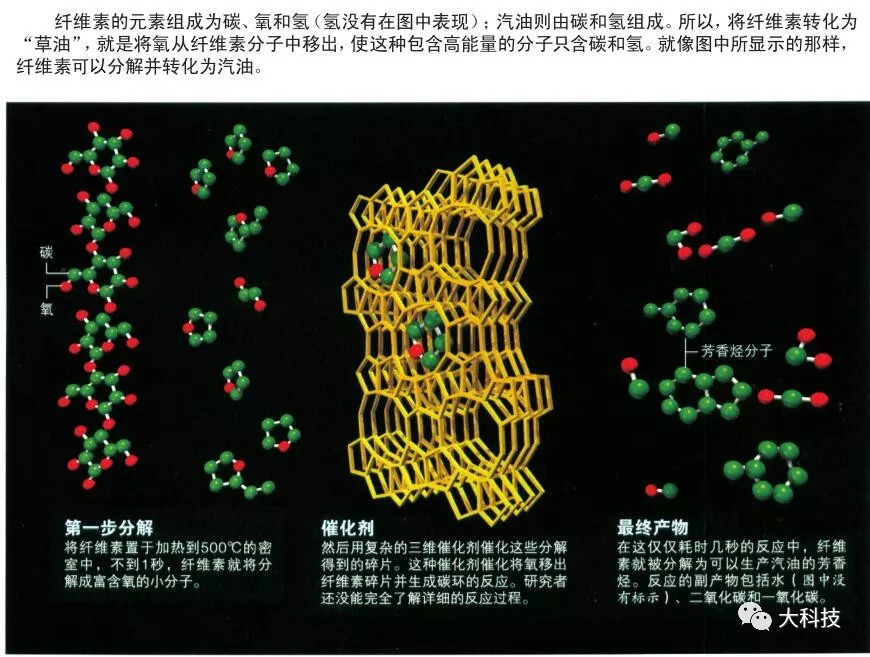 枯草也能变燃油