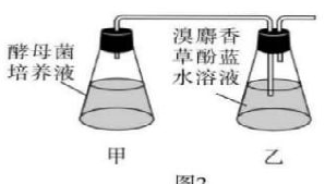 2021年广东省普通高中学业水平选择性考试--生物学