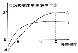 如图是纯化纤维素分解菌并生产乙醇的基本工作流程,请回答下列问题:(1)图中①过程选取富含纤维素的土壤,在鉴定和筛选所