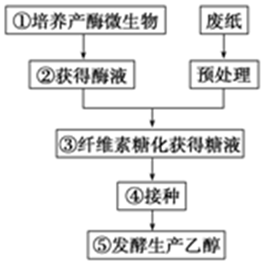 为在酵母中高效表达丝状真菌编码的植酸酶.通过基因改造.将原来的精氨酸密码子CGG改变为酵母偏爱的密码子ACA.由此不会发生的变化有( )A.植酸酶氨基酸序列改变B.植酸酶mRNA序列改变C.编码植酸酶的DNA热稳定性降低D.配对的反密码子为UCU 题目和参考答案-