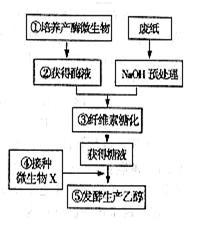 新物种形成的三个基本环节不包括A.突变和基因重组B.自然选择C.隔离D.人工选择