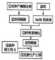 现在大力提倡无纸化办公.但是仍然小可避免的每年要产生大量的废纸.其主要成分是木质纤维.人类正努力将其转化为一种新的资源--乙醇.下图是工业上利用微生物由纤维素生产乙醇的基本工艺流程.请回答相关问题: