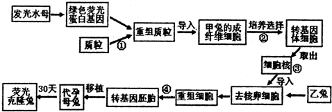 农作物秸秆在生产实践中具有多种用途.在特定微生物产生的纤维素酶的催化下.秸秆中的纤维素可被分解为葡萄糖.经发酵后形成乙醇.再加工即可制成燃料乙醇.减少了人类生活对石油资源的依赖.请分析回答:(1)欲从